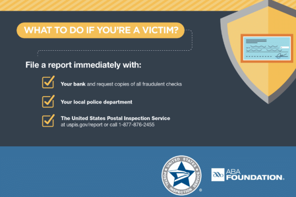 Infographic Infographic